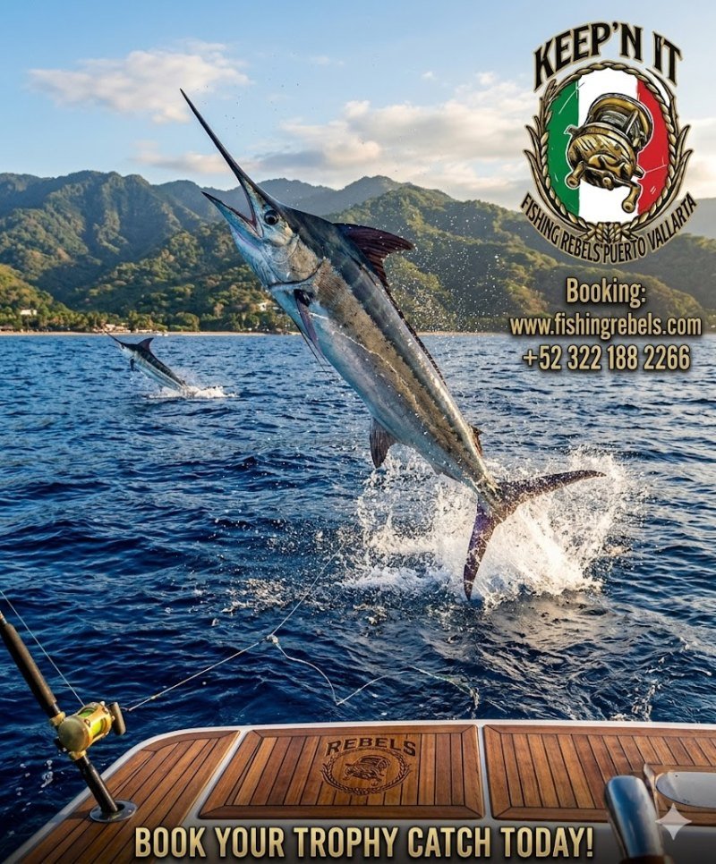 Fishing Tours in Puerto Vallarta: The Legal Side You Should Know